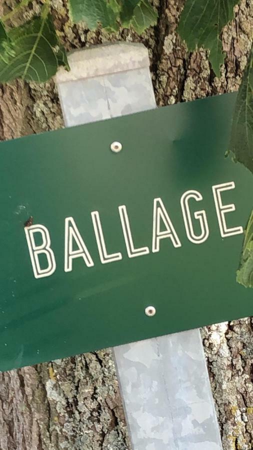 Le Gite De Ballage Chemille-Sur-Deme Exteriör bild