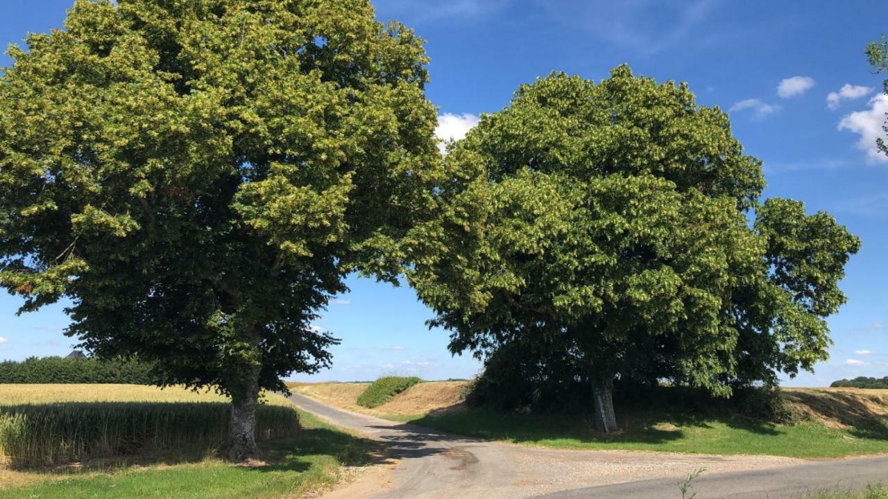 Le Gite De Ballage Chemille-Sur-Deme Exteriör bild